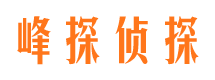 宁县市调查公司